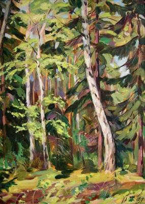 ������� ������� 14�