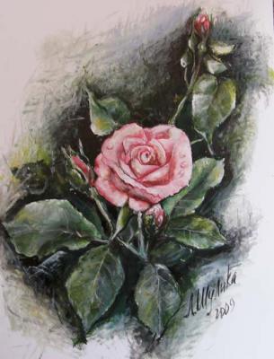 ������� ����������