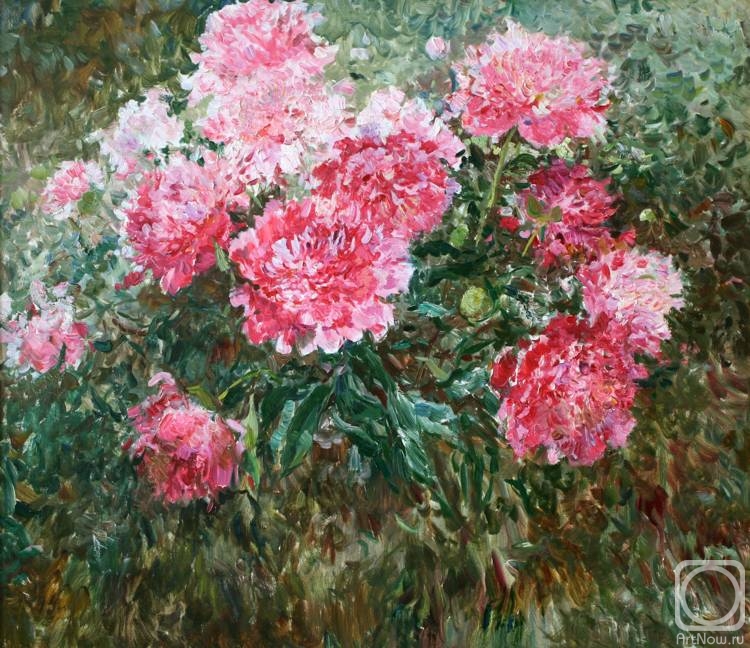 Balandina Ludmila. 010. Pink peonies
