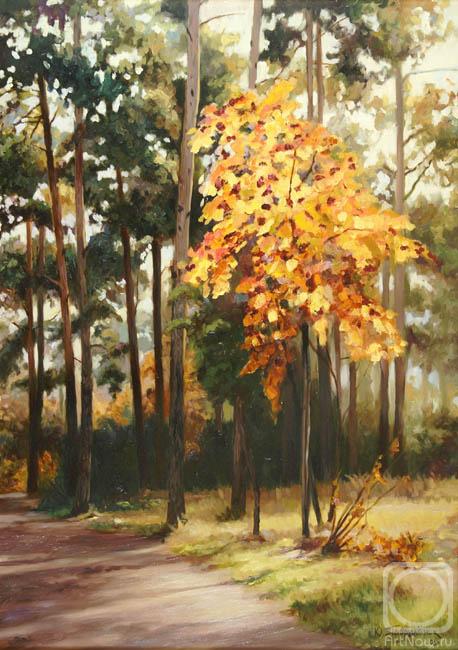 ������� ������ �� ������. ��������� ����. �������� ������