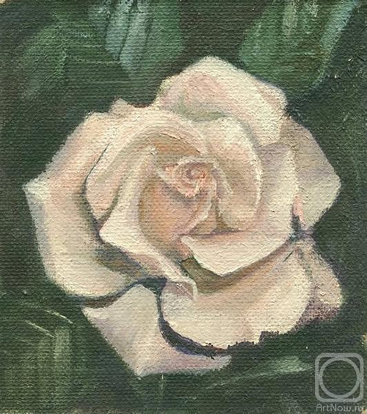 �������. ��������� ����. ����