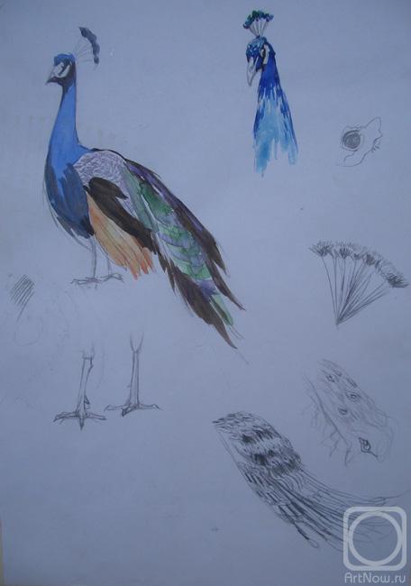 �������. ������-������� ������. ����� � ���������