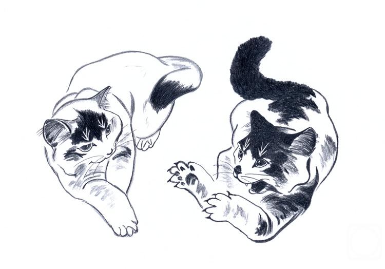 �������. ��������� ����. ������ ������