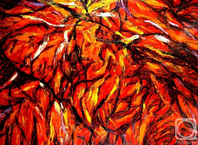 ������� ������ �� ������. ������ ����. ����������� ������� OF-A41