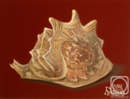 �������. �������� ������. �������� 2