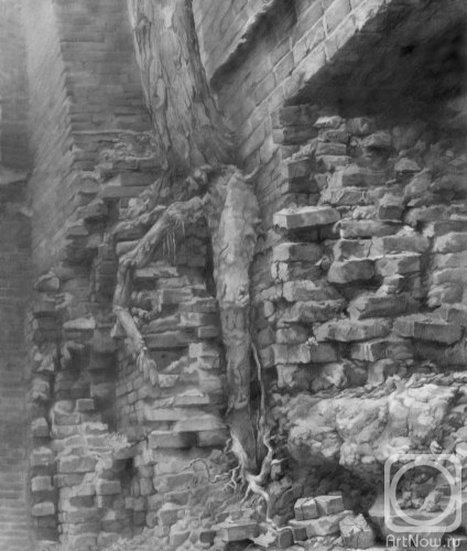 �������. ������ �����. ������ � �����