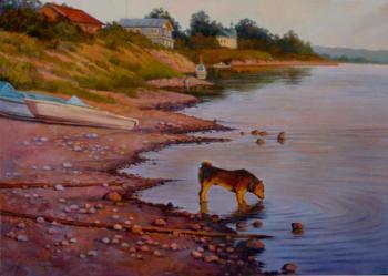 Sunset on the Sukhona River