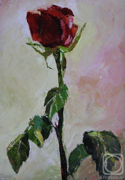 �������. ���������� �����. �������