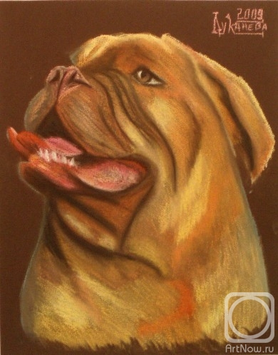 �������. �������� ������. ���������� ���