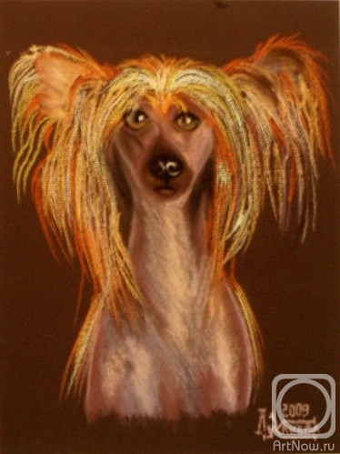 �������. �������� ������. ����� ��������� �������� �������