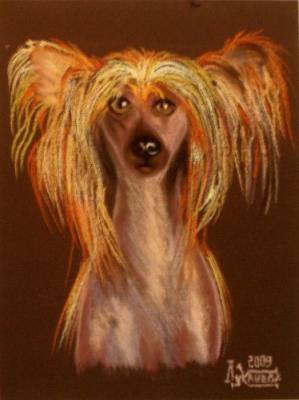 ������� ������ ��������� �������� �������