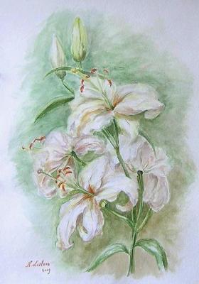 Study with lily flowers. Lizlova Natalija