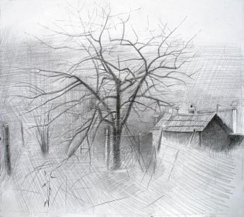 ������� ��������