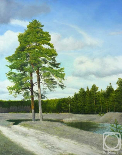 Lobanov Roman. Pines beside bay