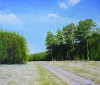 Road in wood. Lobanov Roman