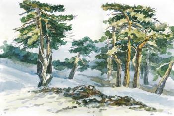 Winter study in Troodos