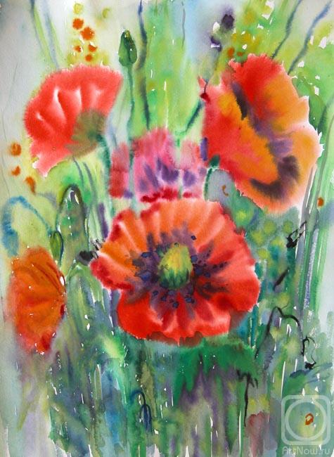 �������. ���������-������� �����. ����