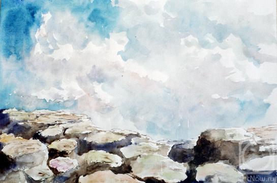 �������. ������ ������. Terra Inkognita