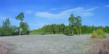 ������� ������ �������