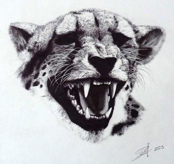 Leopard. Lobanov Roman