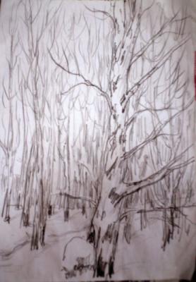 March birches. Kruppa Natalia