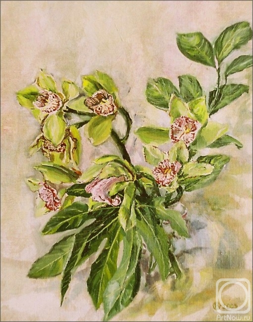 ������� ������ �� ������. �������� ����. �������