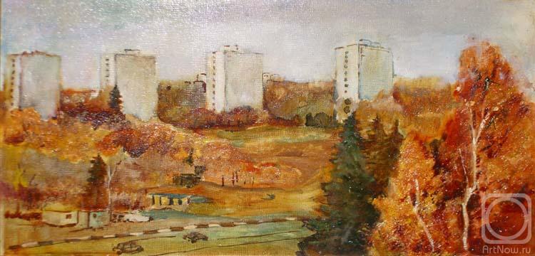 Efimova Olga. Zelenograd. 4 towers. View from the studio