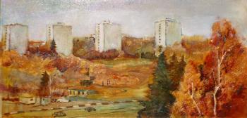 Zelenograd. 4 towers. View from the studio