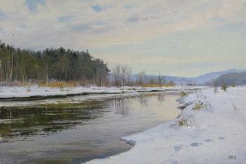 Spring on the river. Efremov Alexey
