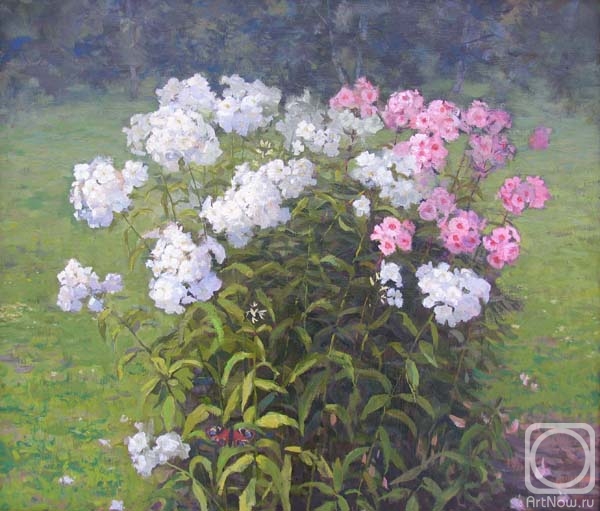 ������� ������ �� ������. �������� ��������. ������