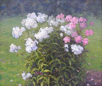 ������� ��������