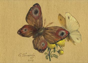 Butterflies. Goncharova Katherina