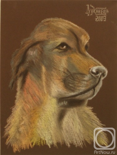 �������. �������� ������. ��������� ������