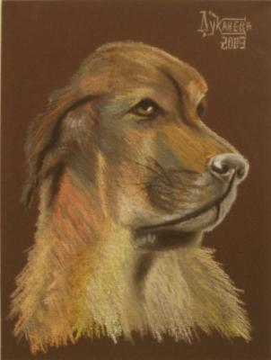 Spanish mastiff (). Lukaneva Larissa