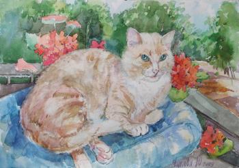 ������� ����� ���������� �� �������