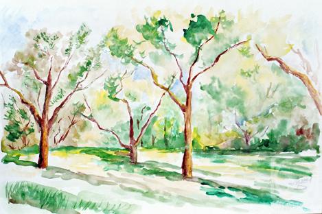 �������. ������ ������. �����