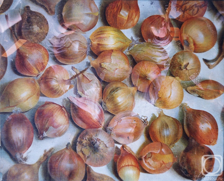 ������� ������ �� ������. ������ ϸ��. ���-������