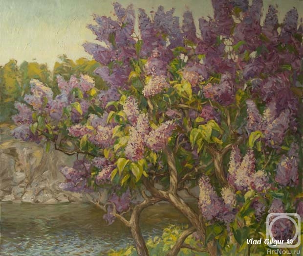 ������� ������ �� ������. ������� ����. ���������� ������