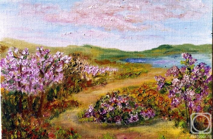 ������� ������ �� ������. ������ ����. �������� ����������