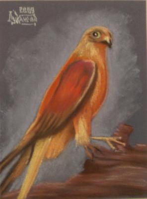 ������� ���������. �������� ������