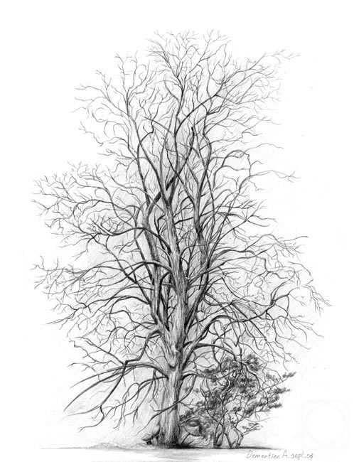 Dementiev Alexandr. Autumn tree