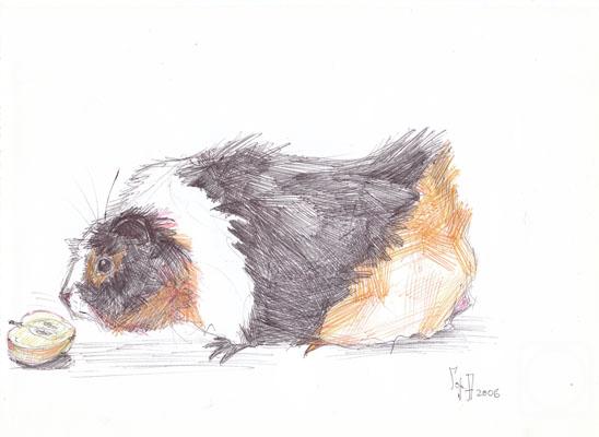 Gorenkova Anna. Untitled