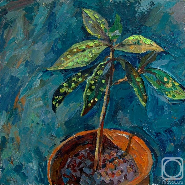 ������� ������ �� ������. ���� �����. ��� ������