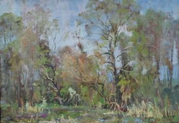 Spring willows (etude). Lymar Sergey