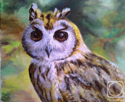 ������� ������ �� ������. ���������� �������. ������� �������� ����