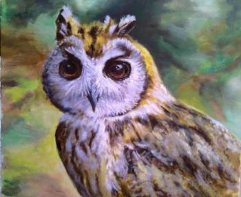 Portrait of a Lone Owl (Portrait Of An Owl). Nikolskaya Liudmila