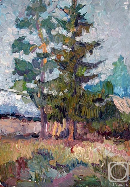 Petrov Valery. Pine and spruce