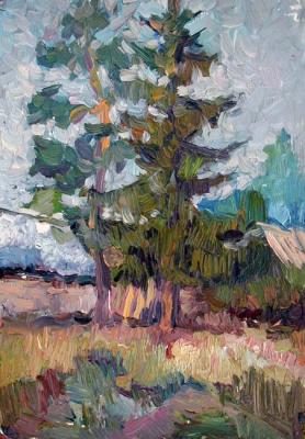 ������� ������ � ����