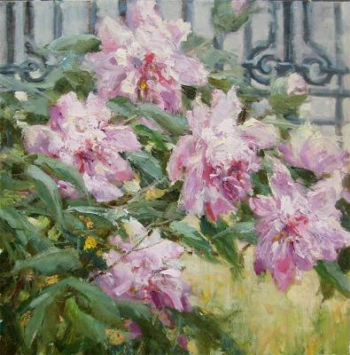 Dishevelled peonies. Gulyaeva Anfisa