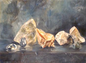 Still life with stones and shell